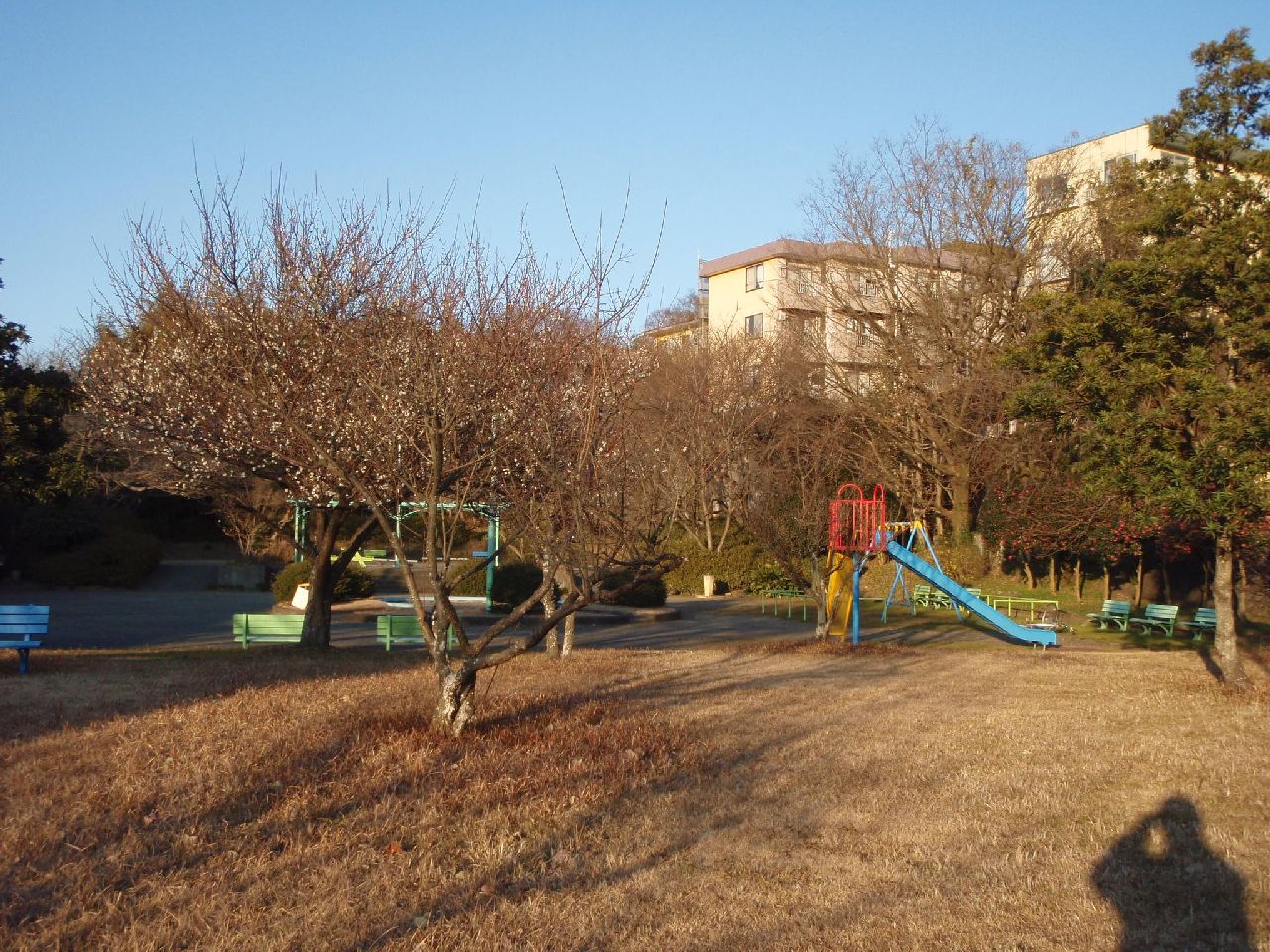 片山公園