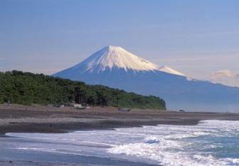 富士山を望む三保松原の画像