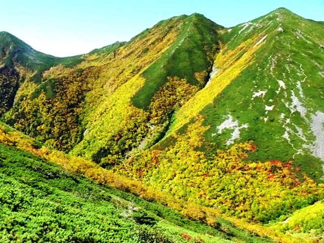 百間平への登りから眺める紅葉の大沢岳