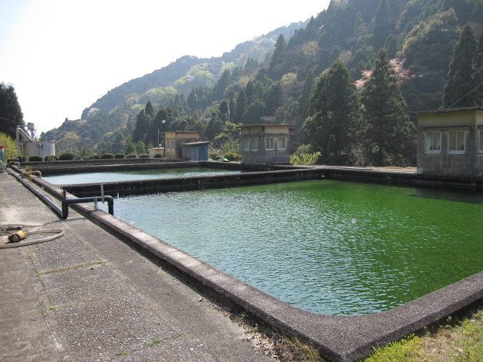 蒲原第1浄水場