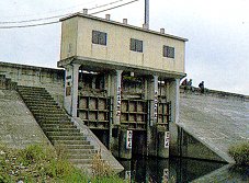 放流の写真