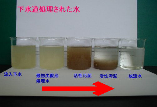 下水をきれいにする順番