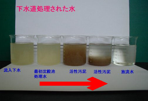 汚水処理過程の写真