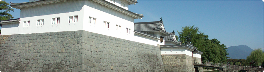 観光・文化・スポーツ