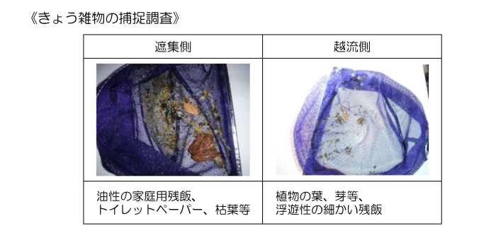 合流改善のきょう雑物の削減状況（調査）の画像