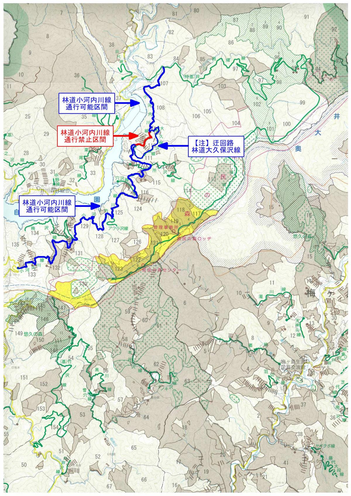 林道小河内川線地図