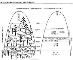 焼畑農業