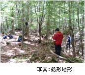 亜高山帯のコメツガ・モミ林、船形地形の写真1