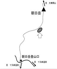 6.ブナ・ウラジロモミ・コメツガの場所