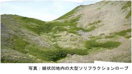 線状凹地内の大型ソリフラクションローブ