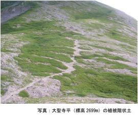 大聖寺平（標高2699m）の植皮段状土の写真
