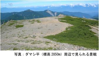 ダマシ平（標高2850m）周辺で見られる景観の写真