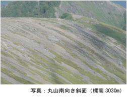 丸山南向き斜面（標高3030m）の写真