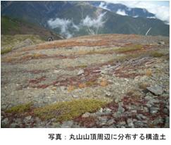 丸山山頂周辺に分布する構造土の写真