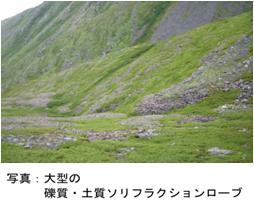 大型の礫質・土質ソリフラクションローブの写真