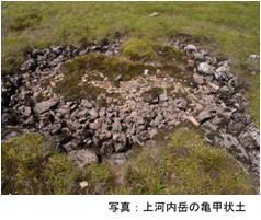 上河内岳の亀甲状土の写真