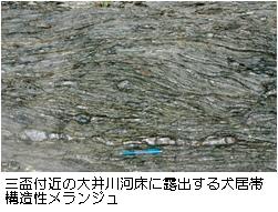 12.千頭周辺の犬居帯の構造性メランジュの写真