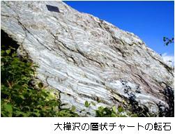 大樺沢の層状チャートの転石画像