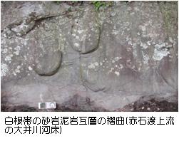 白根帯の砂岩泥岩互層の褶曲の写真