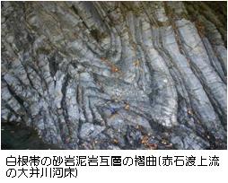白根帯の砂岩泥岩互層の褶曲写真
