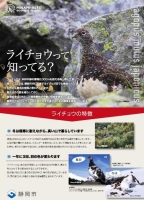 パンフレット「ライチョウって、知ってる？」の画像