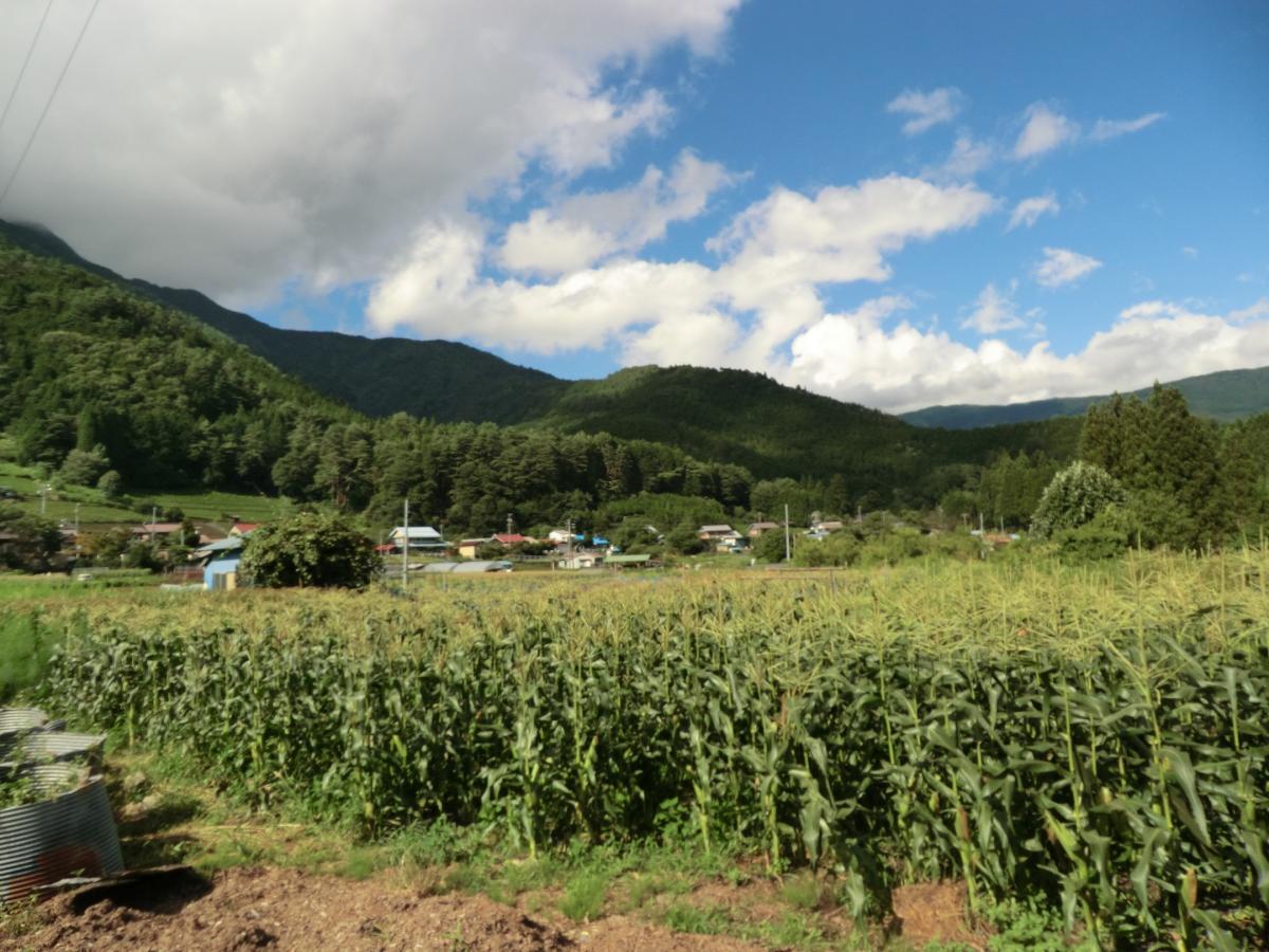 9頁7