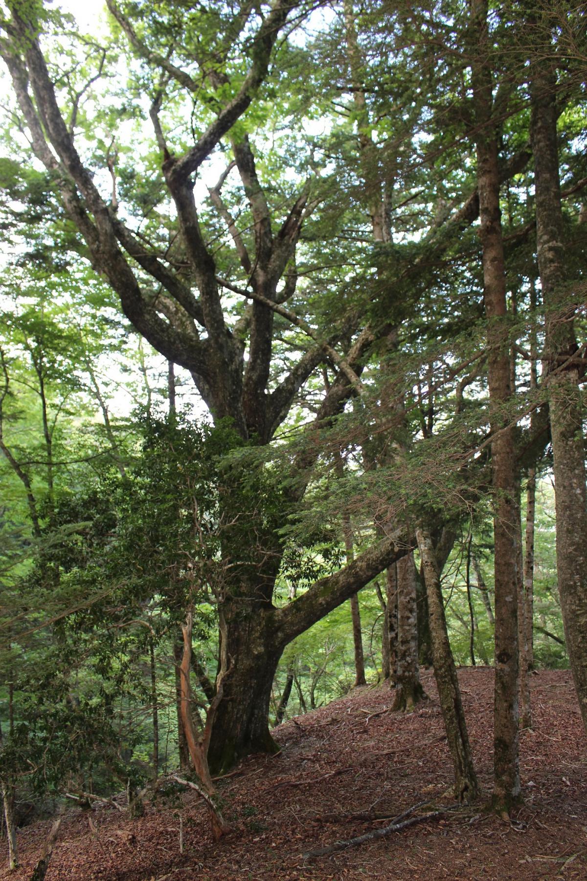 16頁2