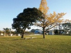 広場の景色
