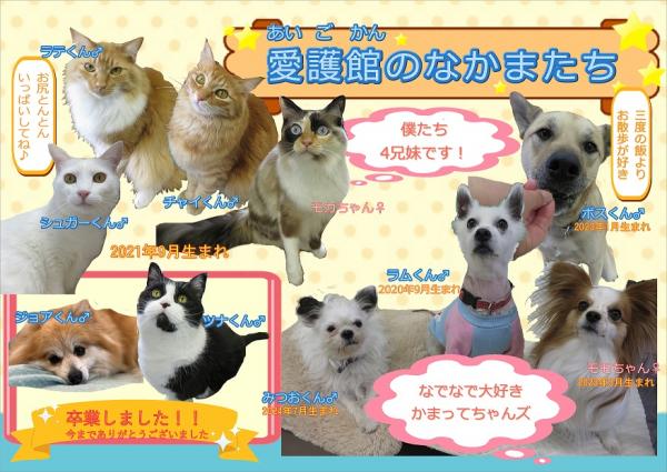愛護館のなかまたち