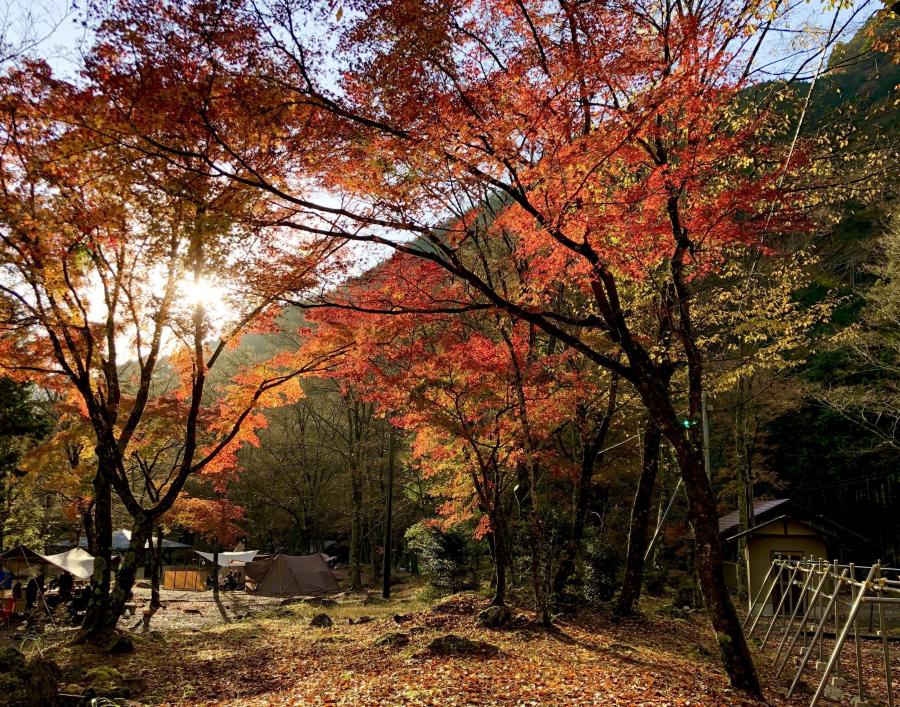 梅ケ島キャンプ場