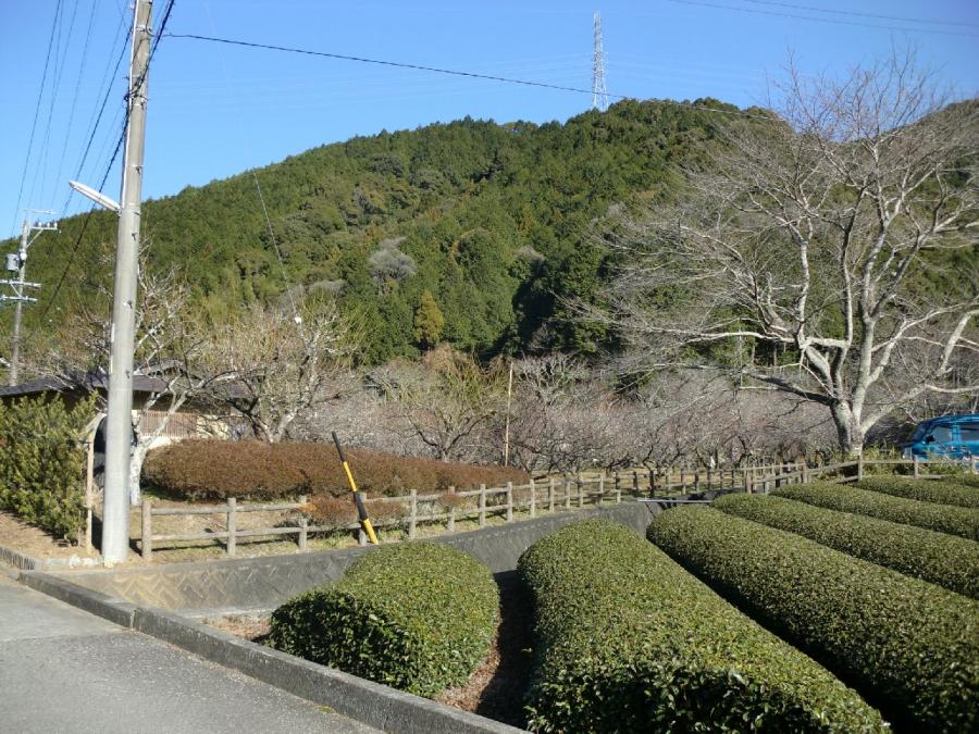 洞慶院梅園