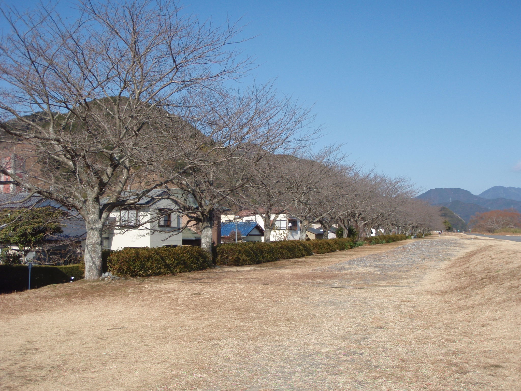 足久保河川緑地