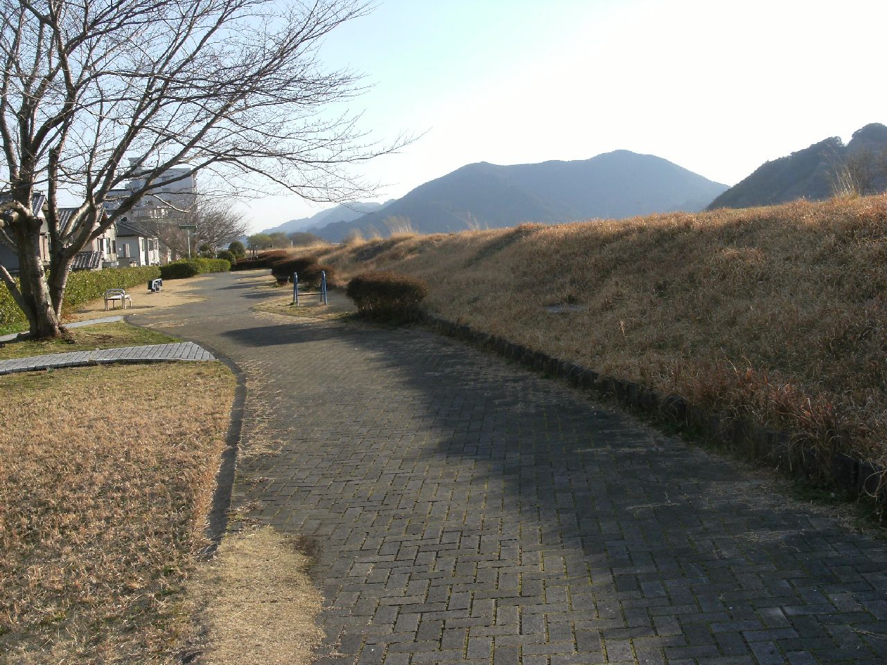 桜町散歩道緑地