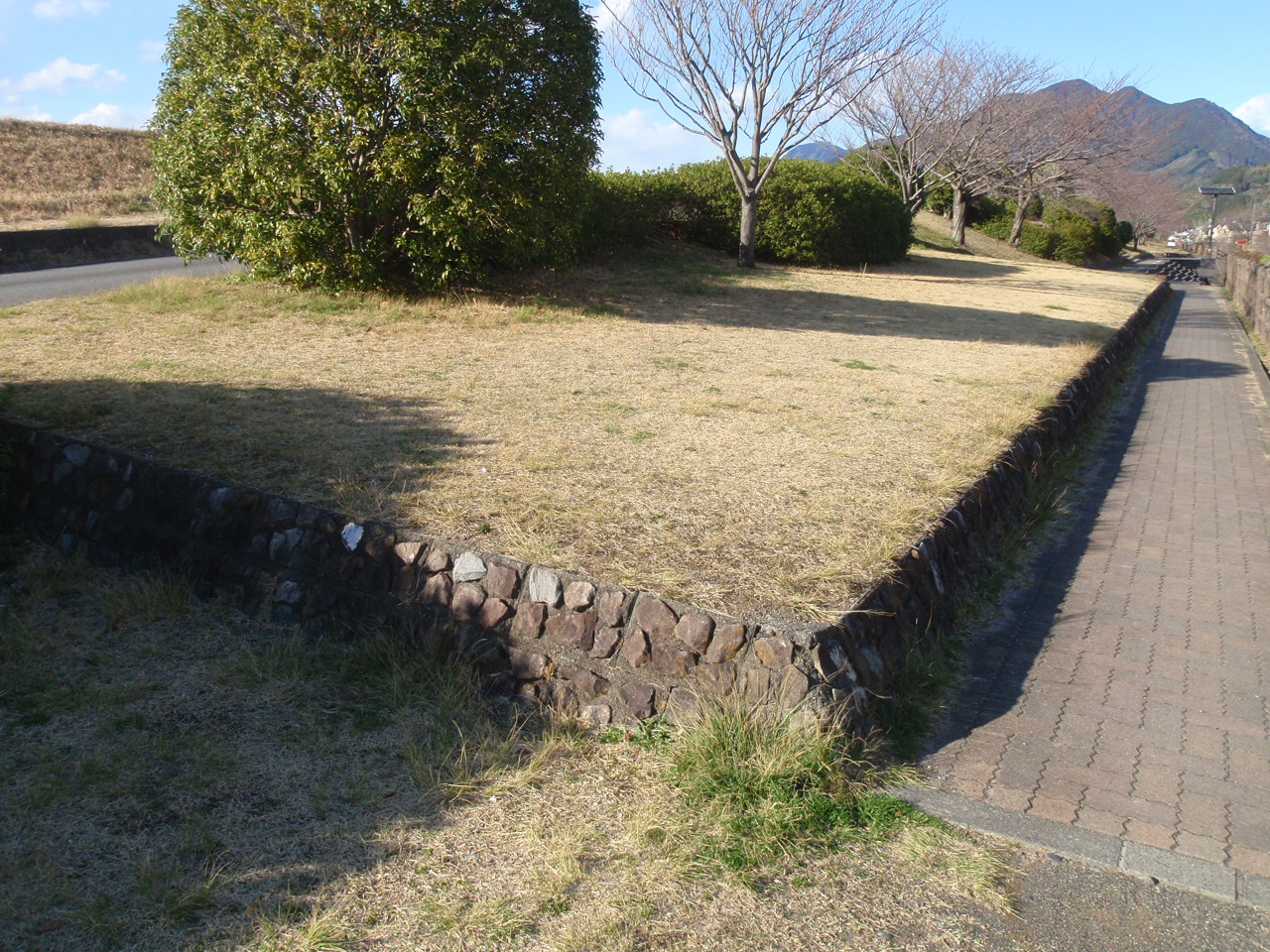 桜づつみ緑地