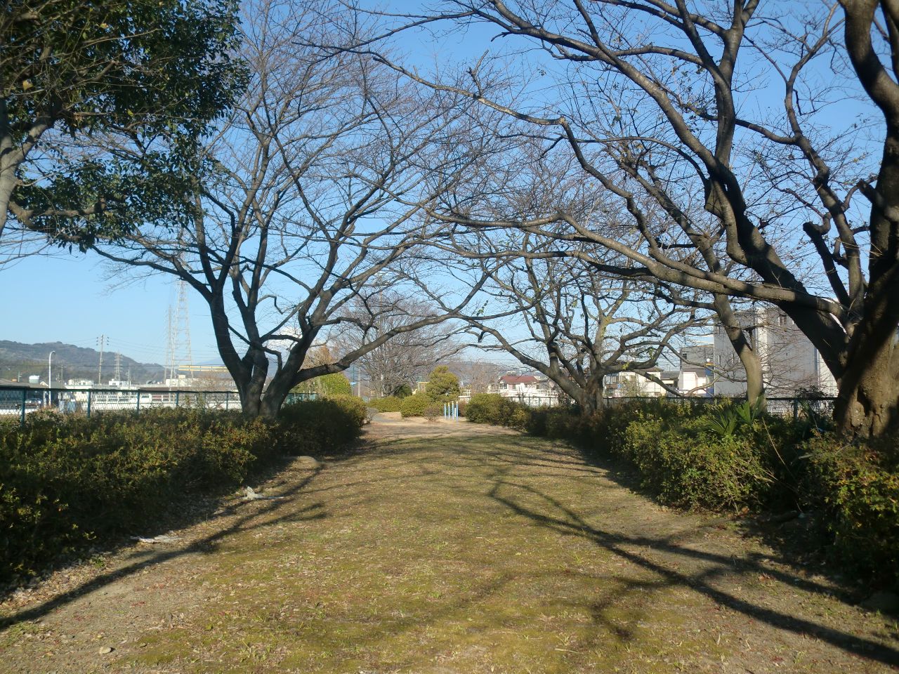 弥生公園