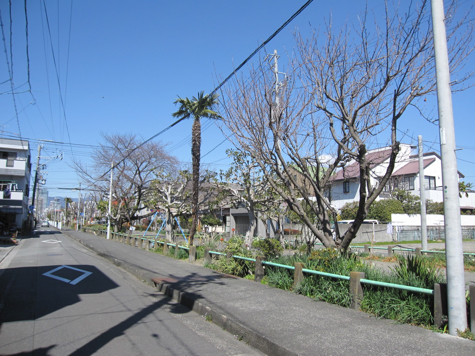 中田緑地