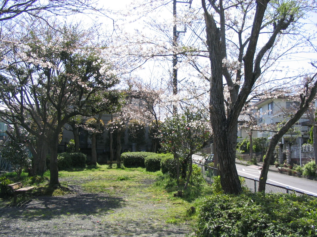 桜田公園