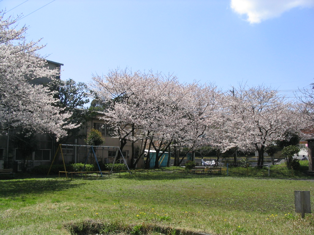 天王山公園