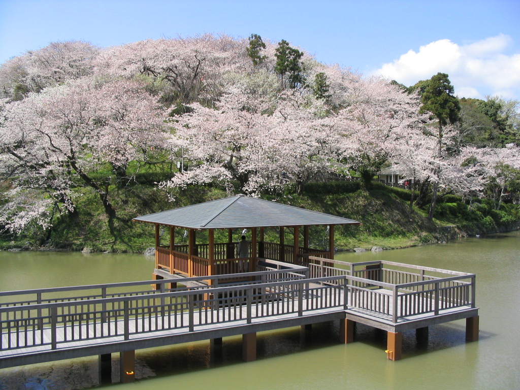 清水船越堤公園