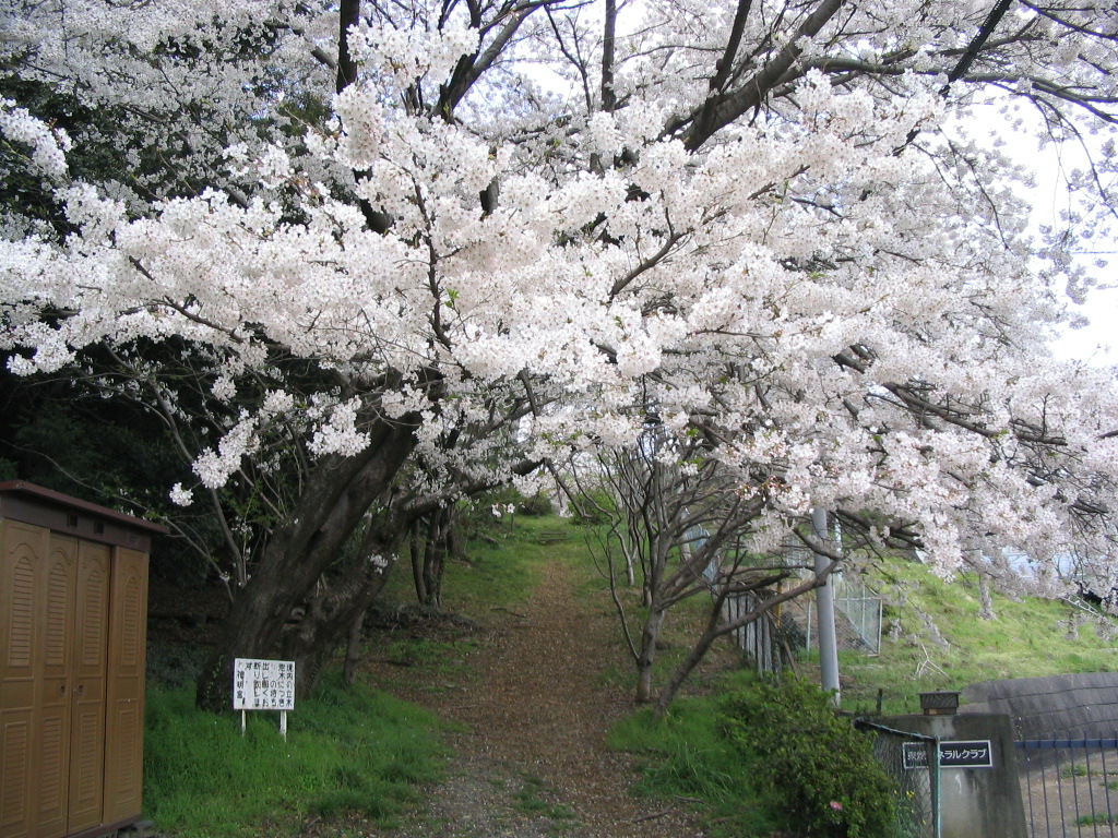 神明公園