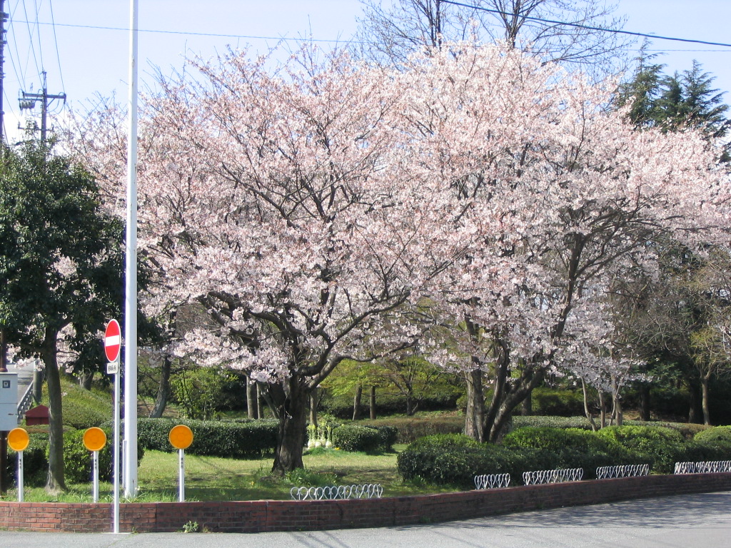 草薙三角緑地