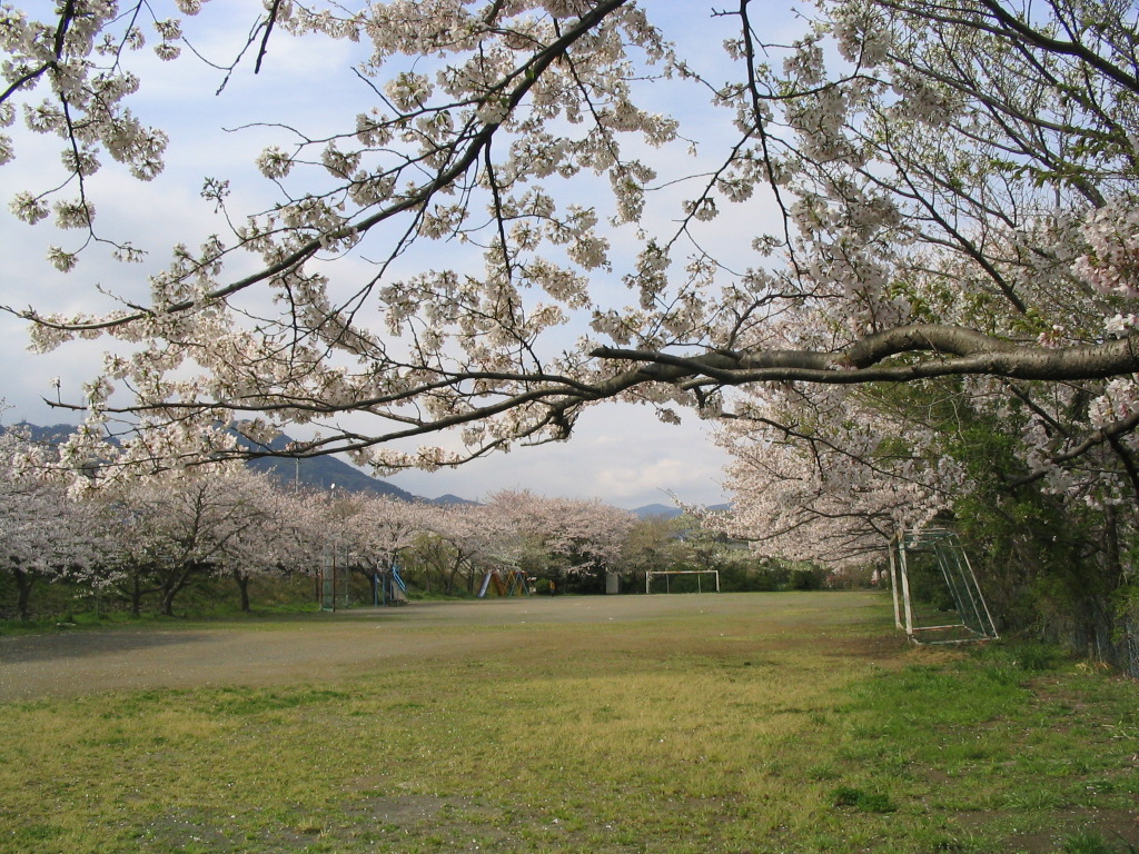 八木間緑地