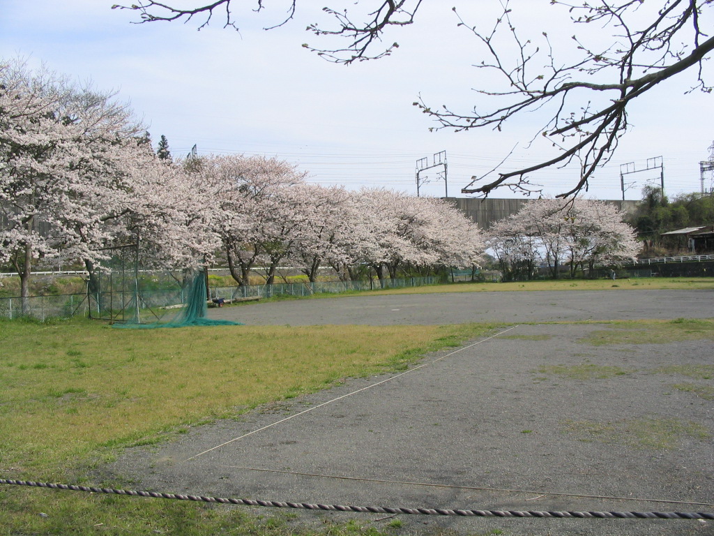 谷津緑地