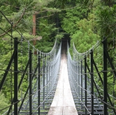 夢の吊り橋