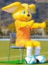 でん伝体操（座位編）