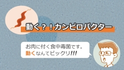 【たべしず動画】動く？！カンピロバクター