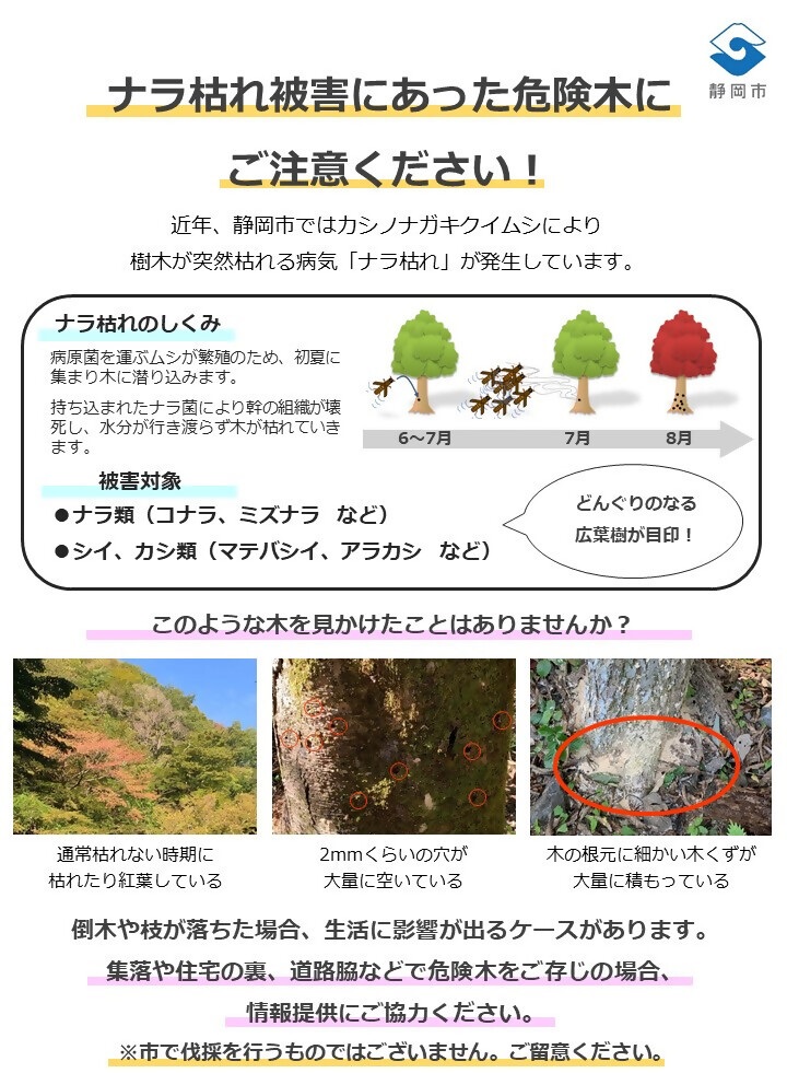 ナラ枯れに関する注意喚起
