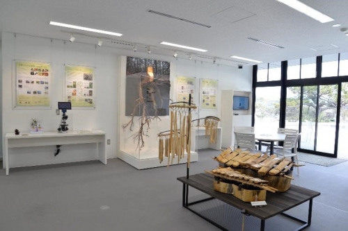 2階展示室の画像