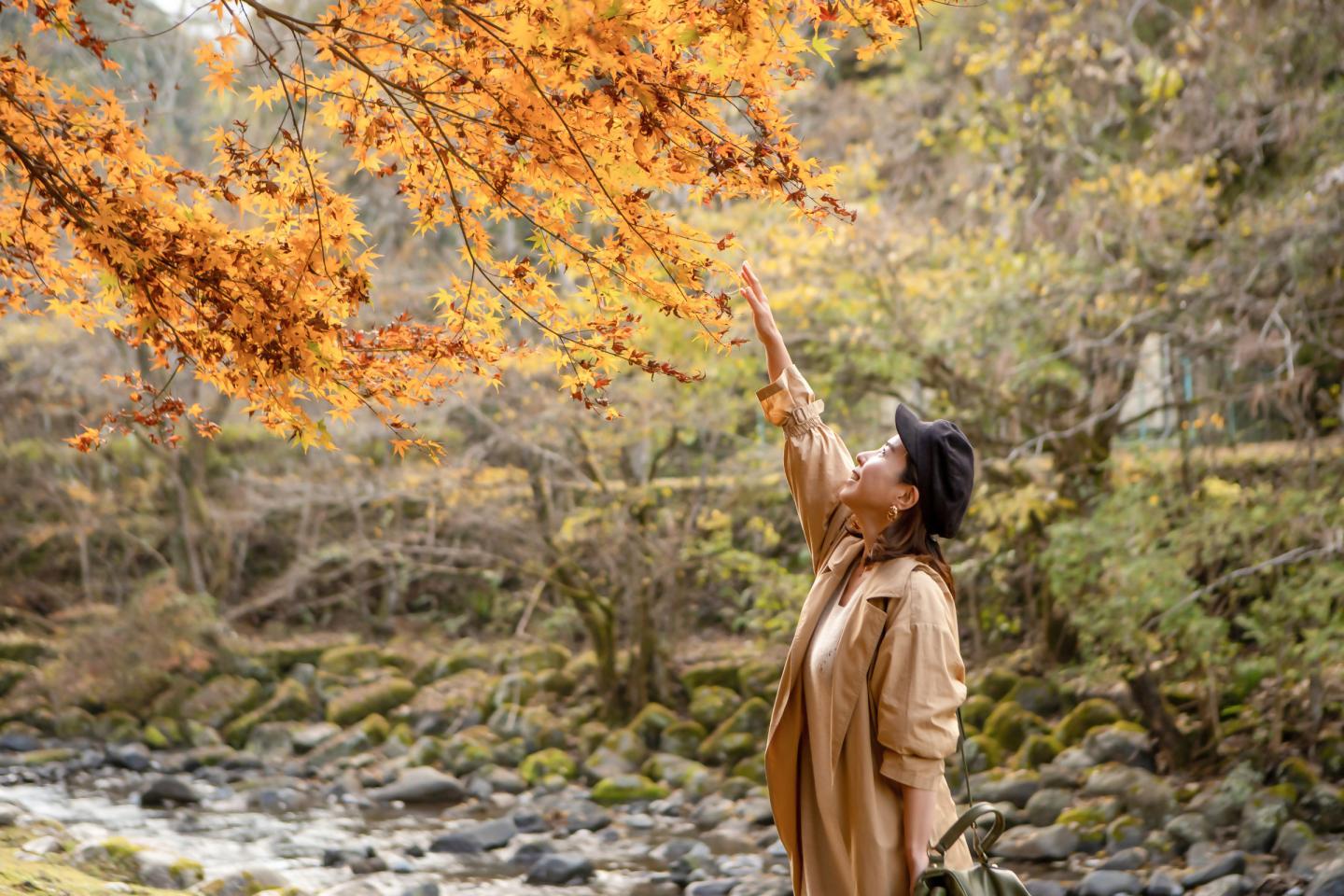 メインビジュアル