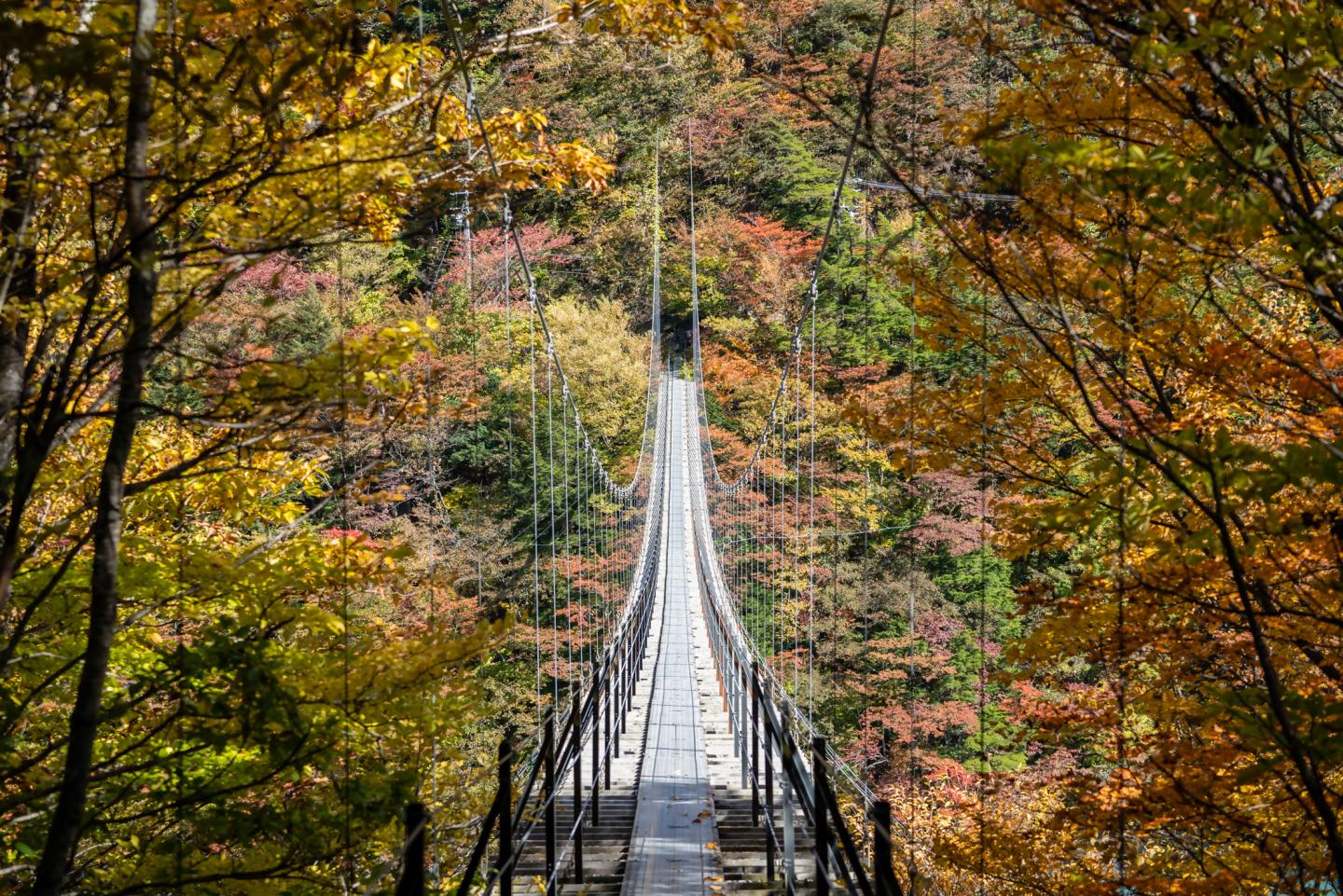 メインビジュアル2